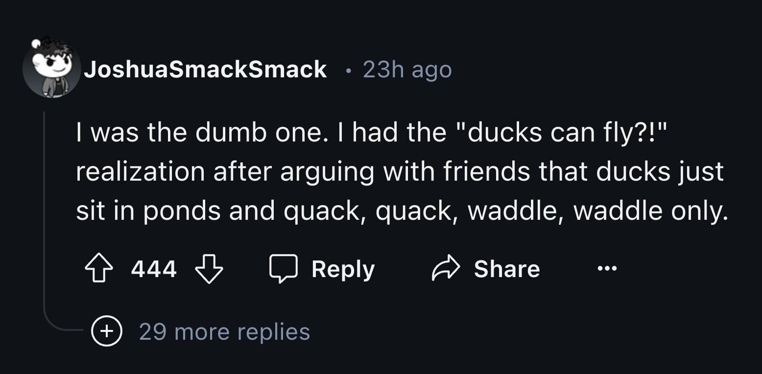 screenshot - JoshuaSmackSmack 23h ago I was the dumb one. I had the "ducks can fly?!" realization after arguing with friends that ducks just sit in ponds and quack, quack, waddle, waddle only. 444 29 more replies